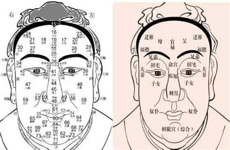 鼻樑起節女面相|鼻樑骨突出面相是好是壞，看相學怎麼說